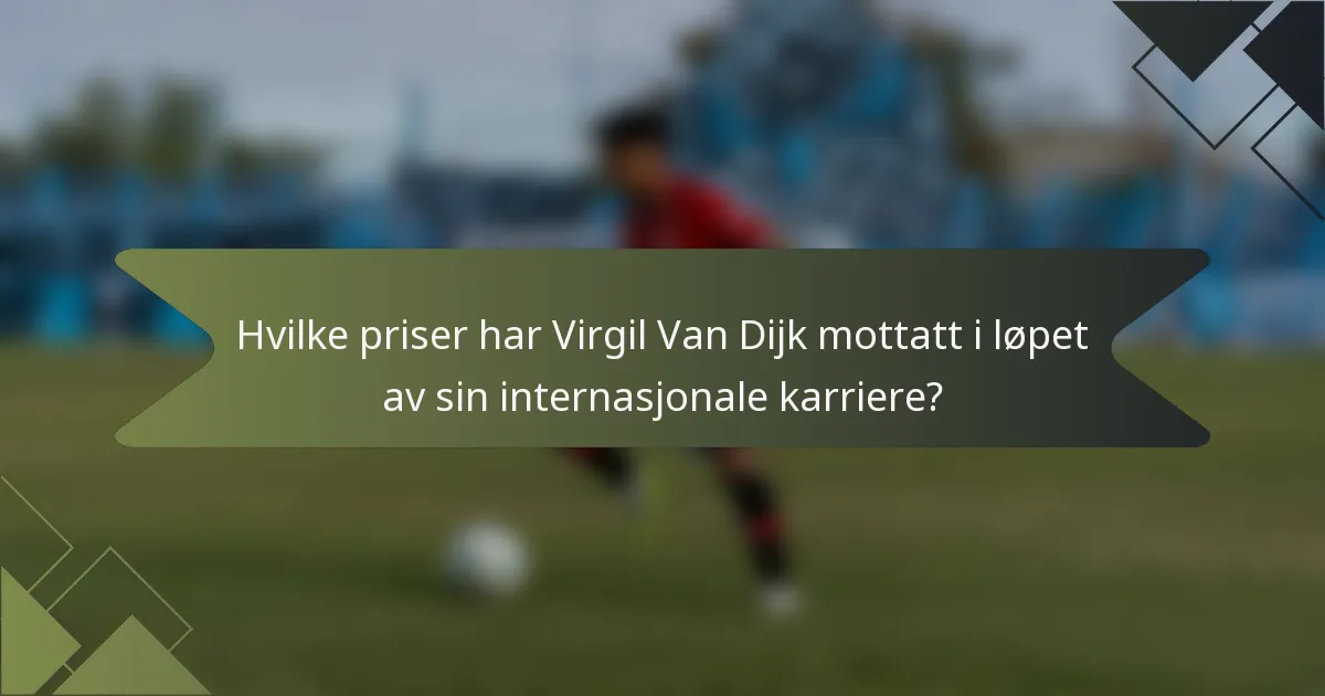 Hvilke priser har Virgil Van Dijk mottatt i løpet av sin internasjonale karriere?