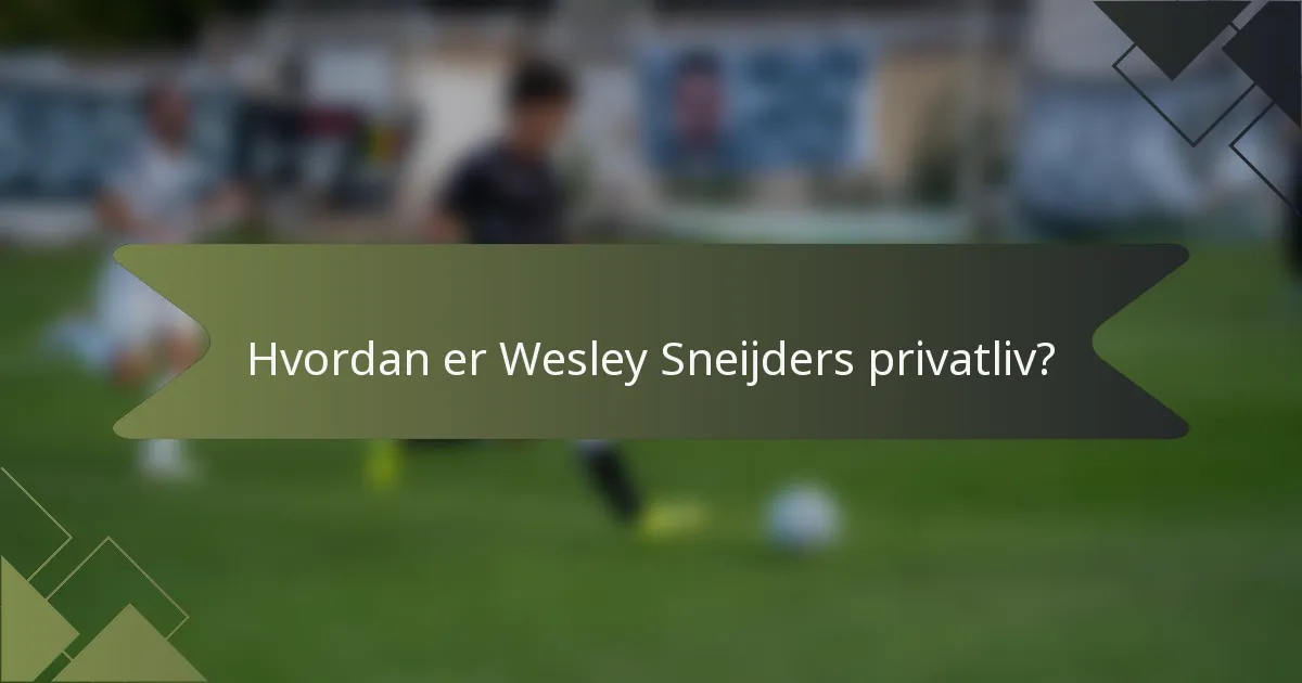 Hvordan er Wesley Sneijders privatliv?